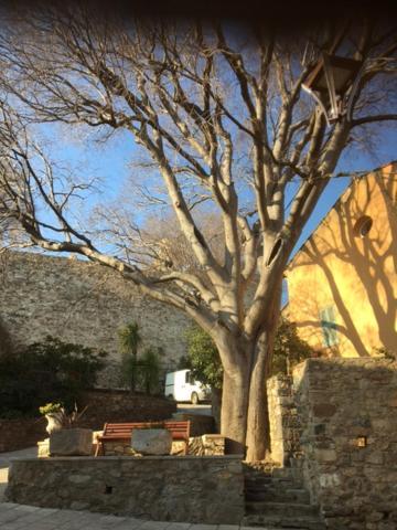 Logement Neuf Centre Du Village Aux Pieds Du Chateau Grimaud Luaran gambar